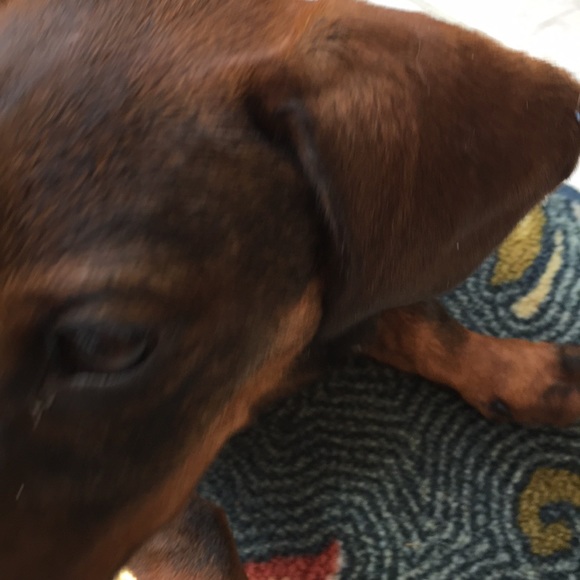 Meet your Posher, Mar - Picture 1 of 1